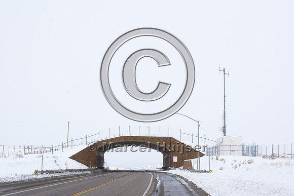 Wildlife overpass (north), US Hwy 93, near Wells, Nevada, USA
