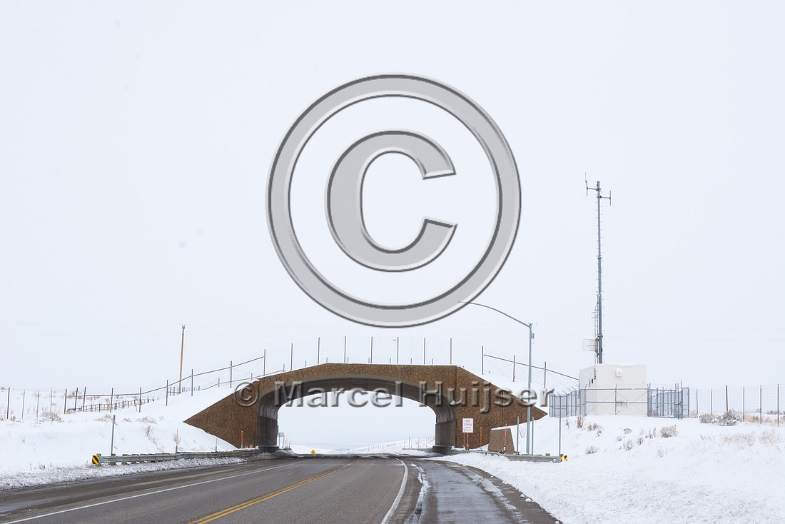 Wildlife overpass (north), US Hwy 93, near Wells, Nevada, USA