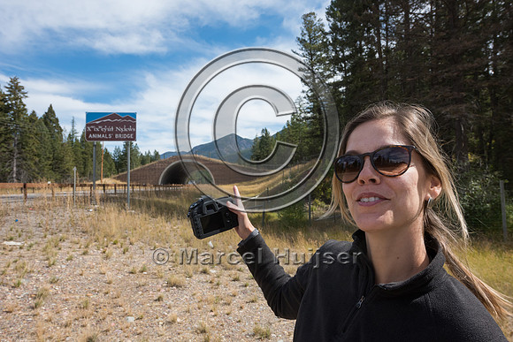 Fernanda Abra at wildlife overpass US Hwy 93 North, Flathead Ind