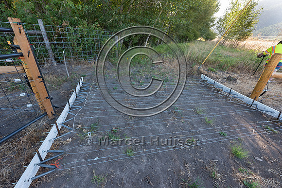 Installing electric fence and gates at a melon field to keep bla