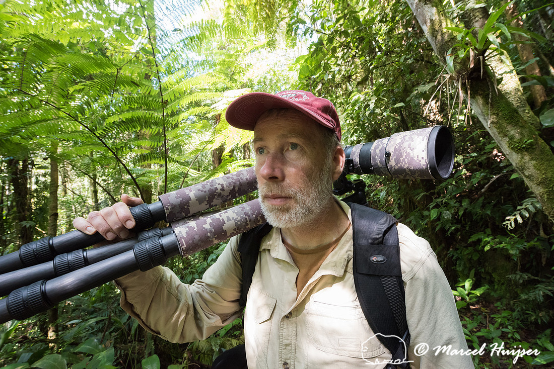 Marcel Huijser in Atlantic forest, São Paulo, Brazil