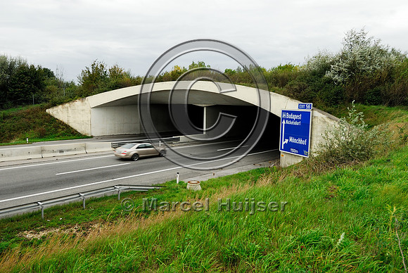 Multifunctional overpass (wildlife and farm road, about 100 m wide), across A4 motorway, Parndorf, Austria