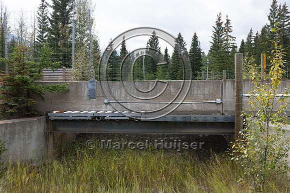 Electrified barrier to keep bears off the highway, exit Compound