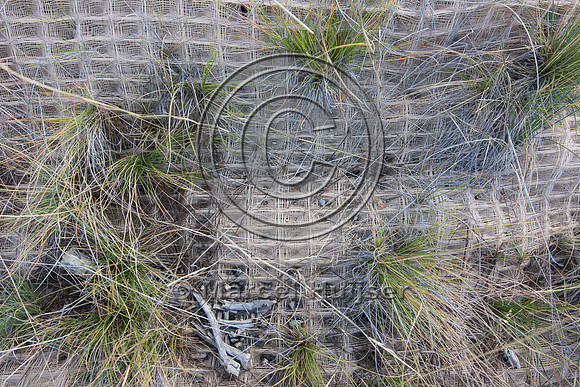 Anti-erosion plastic netting, US Hwy 95, Bonners Ferry, Idaho, U