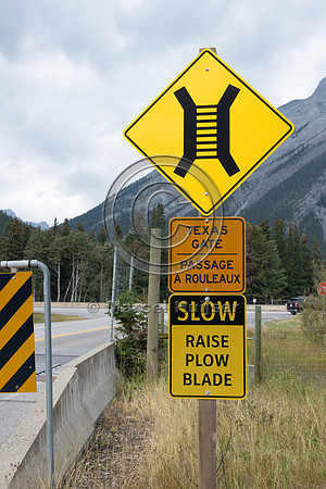 Electrified barrier to keep bears off the highway, exit Compound