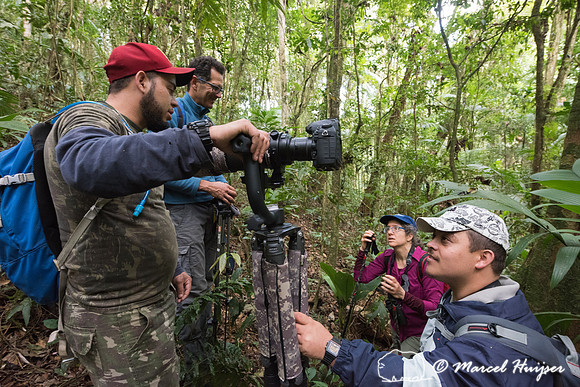 The making of the Southern muriqui or southern woolly spider mon