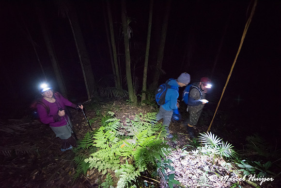 The making of the Southern muriqui or southern woolly spider mon