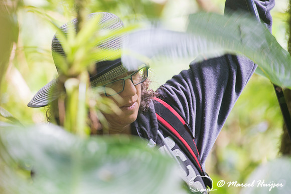Bethanie Walder in Atlantic forest, São Paulo, Brazil
