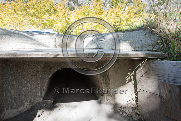 Barrier screens (fences) and culverts for long-toed salamander (