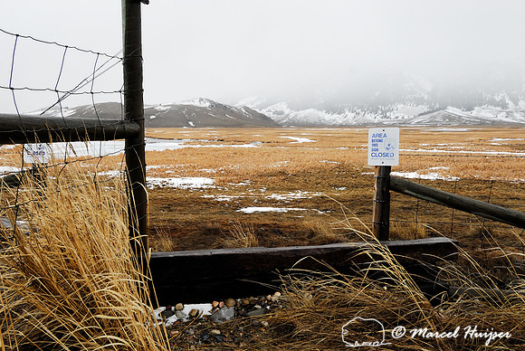 Wildlife jump-out or escape ramp at national elk refuge, WY