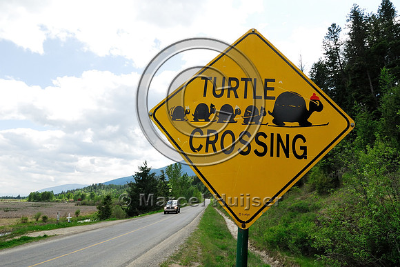 Turtle crossing warning sign, near Creston, British Columbia, Canada. Someone made the turtles different colored hats  and attached them to the sign.