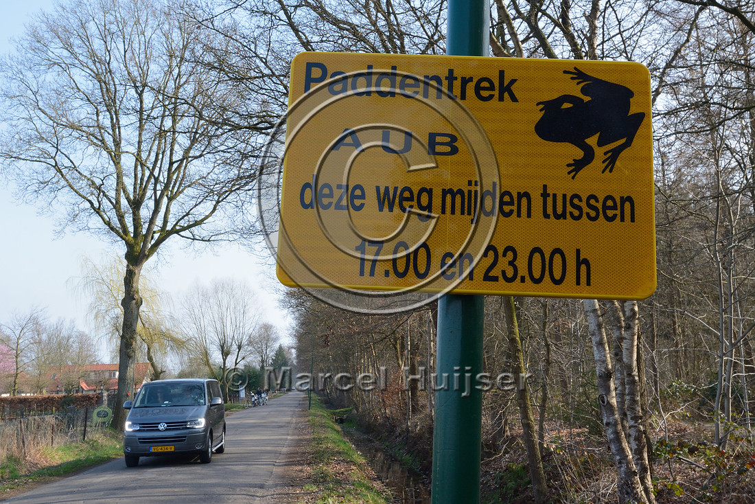 Wildlife warning sign, Voluntary road closure at night between 5 and 11 pm during spring migration of common toads (Bufo bufo), Soest, The Netherlands