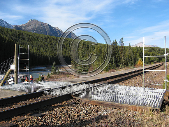 Spiked mat to reduce wildlife intrusions into fenced railroad co