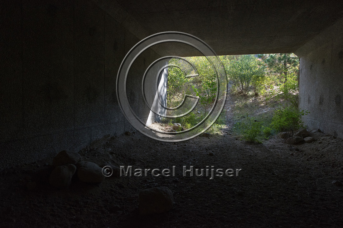Boulders and rocks provide cover for small animals inside a wild