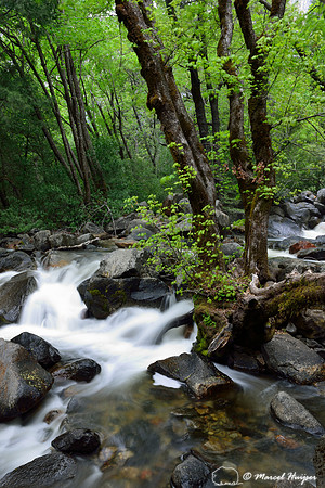 Stream at Bridalveil creek below Bridalveil Fall, Yosemite National Park, California, USA