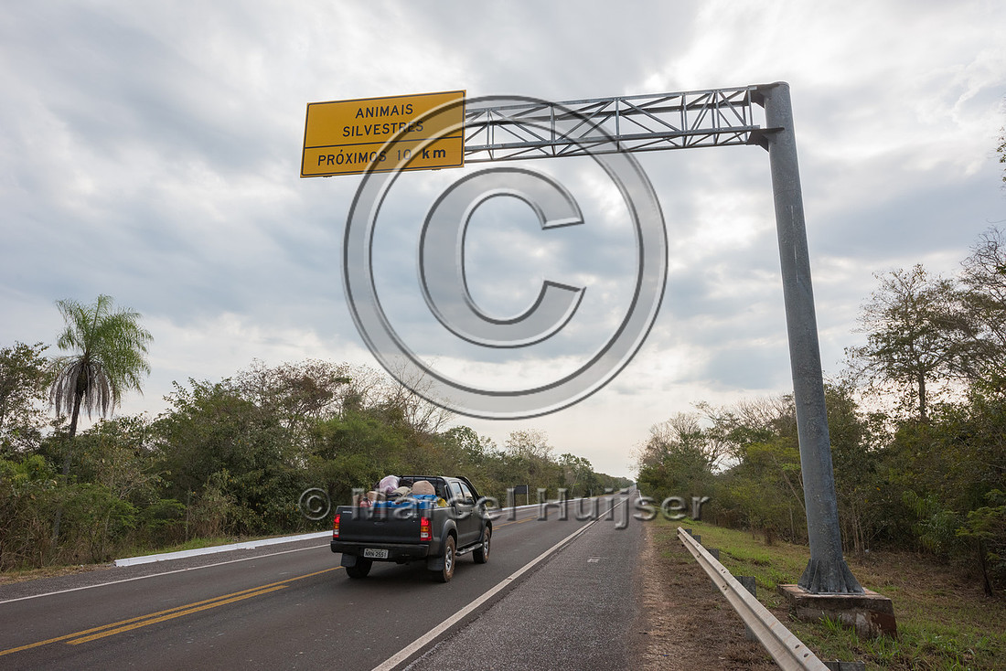 Warning sign, Wildlife, next 10 km, Pantanal, BR 262, Mato Gross