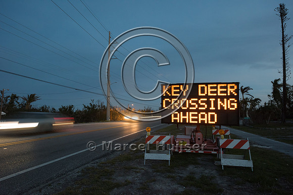 Variable message sign, Caution, slow down, Key deer crossing ahe