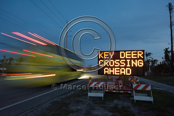 Variable message sign, Caution, slow down, Key deer crossing ahe