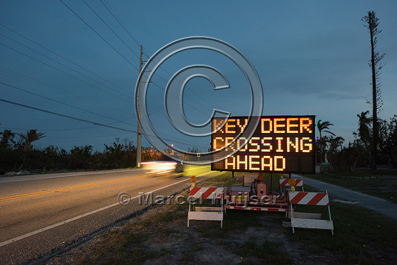 Variable message sign, Caution, slow down, Key deer crossing ahe