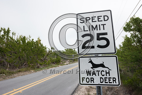 Speed management for Key deer, Maximum speed limit 25MPH, Big Pi