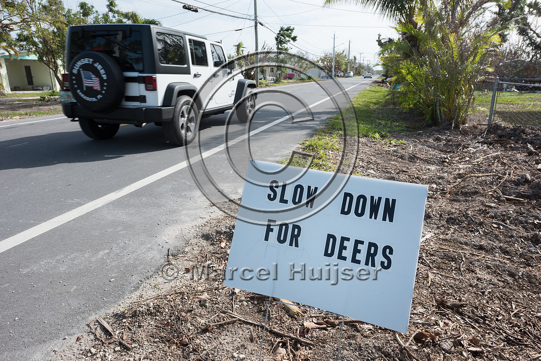Wildlife warning sign with spelling error made by concerned citi