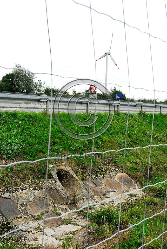 Drainage pipe does not extend under the wildlife fence under A4 motorway, Parndorf, Austria