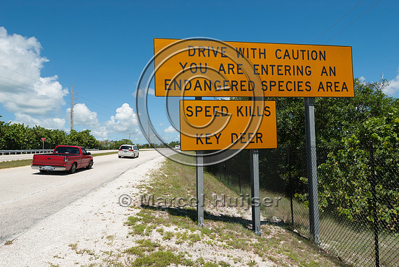 Wildlife warning sign, drive with caution, you are entering an e