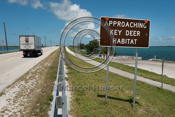 Wildlife warning sign, approaching Key deer habitat, Big Pine Ke