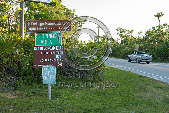 Wildlife warning sign, Key deer roadkill count, Big Pine Key, Fl