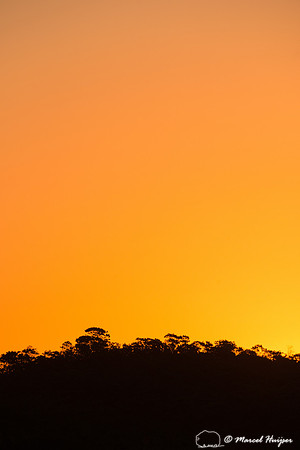 Sunset in the cerrado, Parque Nacional da Chapada dos Veadeiros,