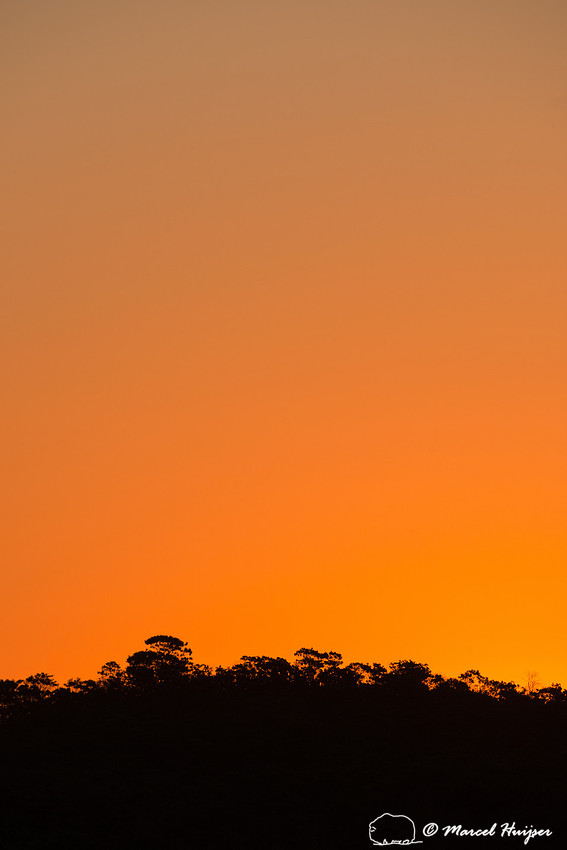 Sunset in the cerrado, Parque Nacional da Chapada dos Veadeiros,