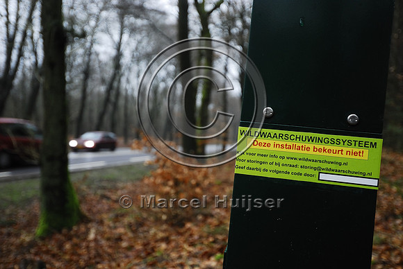 Animal detection system, The Netherlands