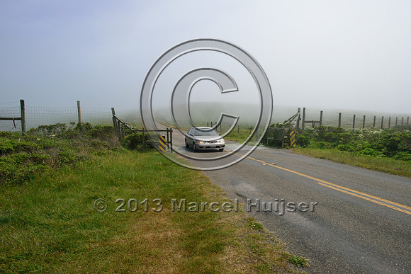 Wildlife guard for tule elk (Cervus canadensis nannodes), Point Reyes National Seashore, California, USA