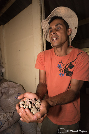 Seeds for eological restoration by Claudomiro De Almeida Cortes