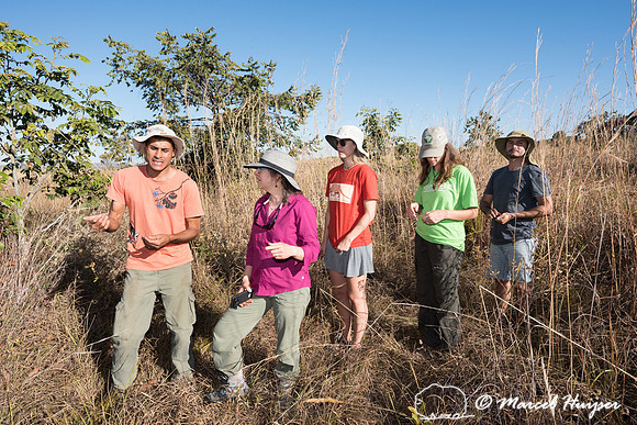 Ecological restoration by Claudomiro De Almeida Cortes and his c