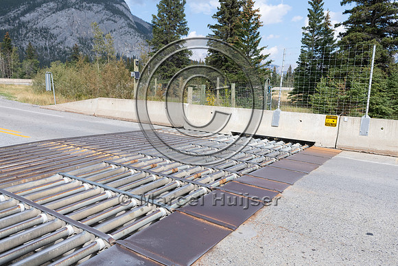 Electrified barrier to keep bears off the highway, exit Compound
