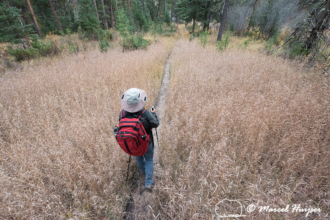 Bethanie Walder hiking, Yellowstone National Park, Wyoming, USA
