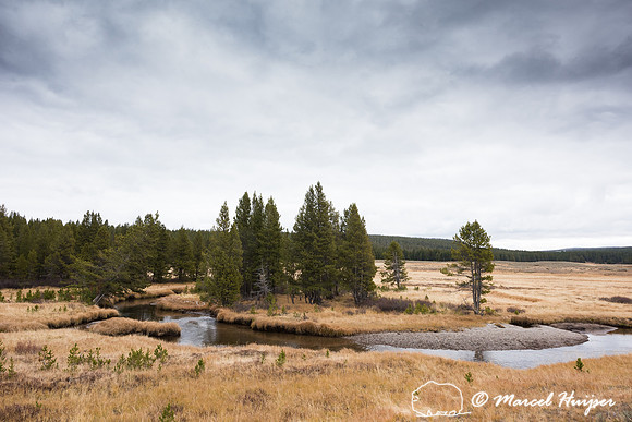 Forest, grassland, and a stream, Hayden Valley, Yellowstone Nati
