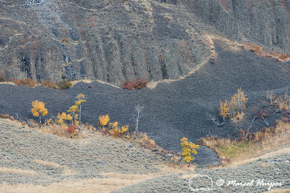 Autumn on a slope with lava rock, Yellowstone National Park, Wyo