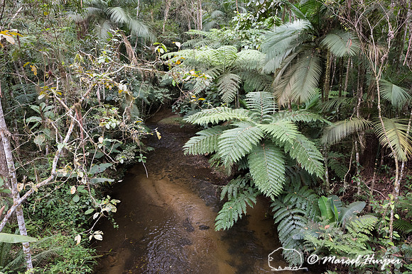 Stream, Legado das Águas, São Paulo, Brazil