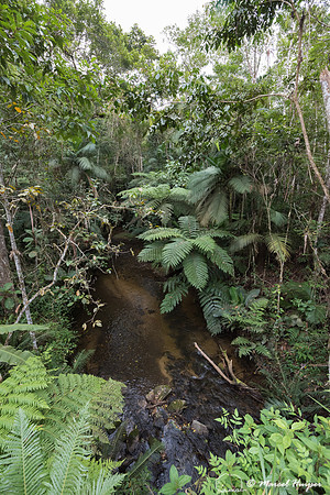 Stream, Legado das Águas, São Paulo, Brazil