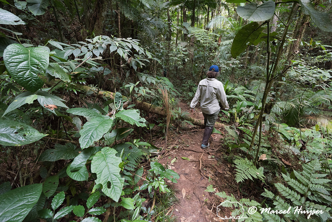 Hiking trail, Legado das Águas, São Paulo, Brazil