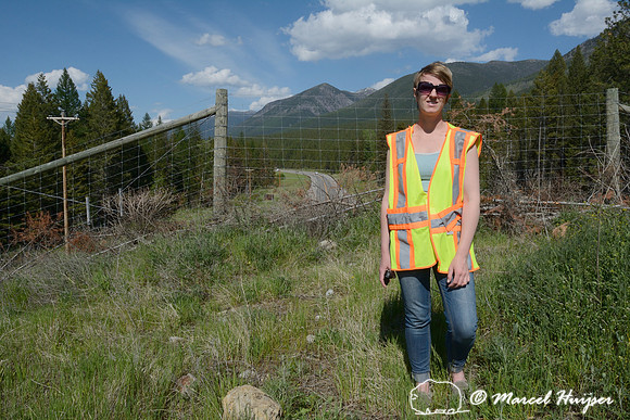 Meredith McClure from the Center for Large Landscape Conservation visits the wildlife overpass along US Hwy 93 North, Flathead Indian Reservation, Montana, USA