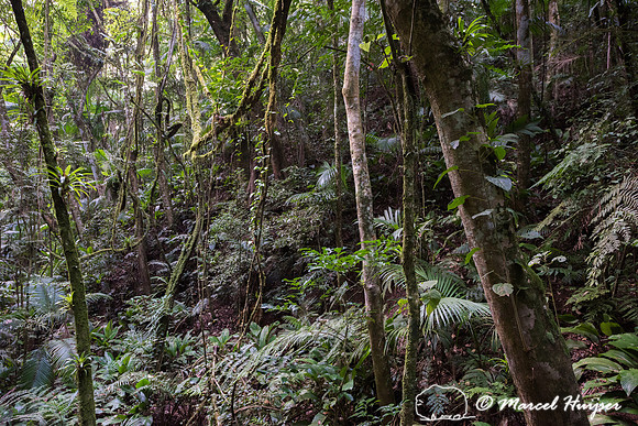 Private Nature Reserve  (RPPN) Parque Natural de Trápaga, Atlan