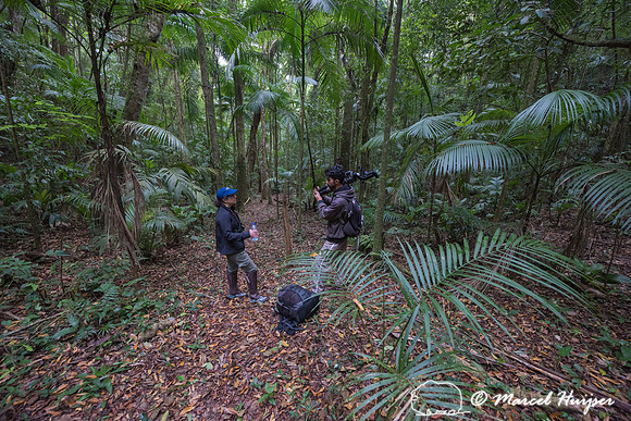 Private Nature Reserve  (RPPN) Parque Natural de Trápaga, Atlan