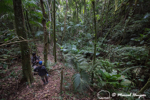 Private Nature Reserve  (RPPN) Parque Natural de Trápaga, Atlan