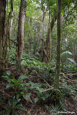 Private Nature Reserve  (RPPN) Parque Natural de Trápaga, Atlan