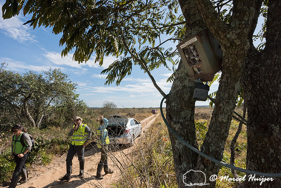 Wildlife camera in the cerrado (savannah), Itirapina, São Paulo