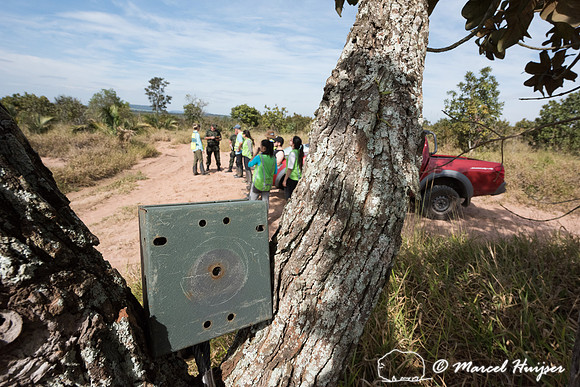 Wildlife camera in the cerrado (savannah), Itirapina, São Paulo