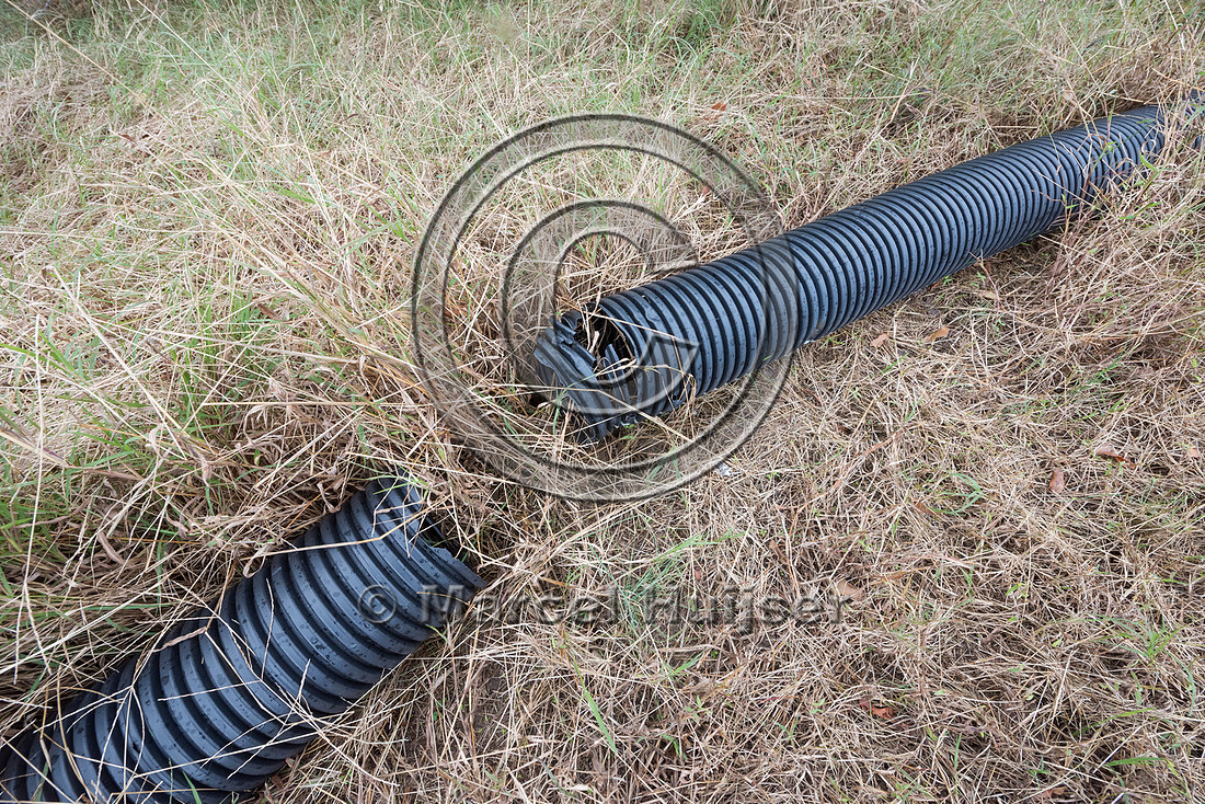Plastic corrugated pipe designed as a barrier to keep Northern d